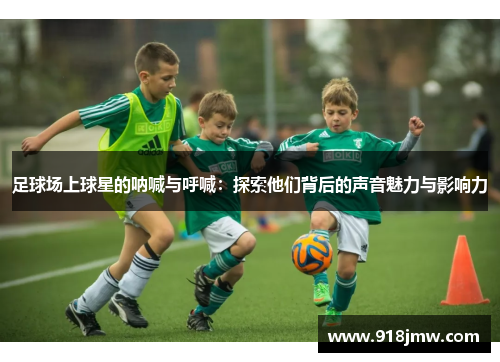 足球场上球星的呐喊与呼喊：探索他们背后的声音魅力与影响力