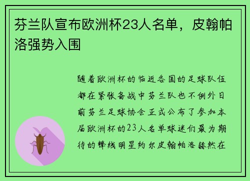 芬兰队宣布欧洲杯23人名单，皮翰帕洛强势入围